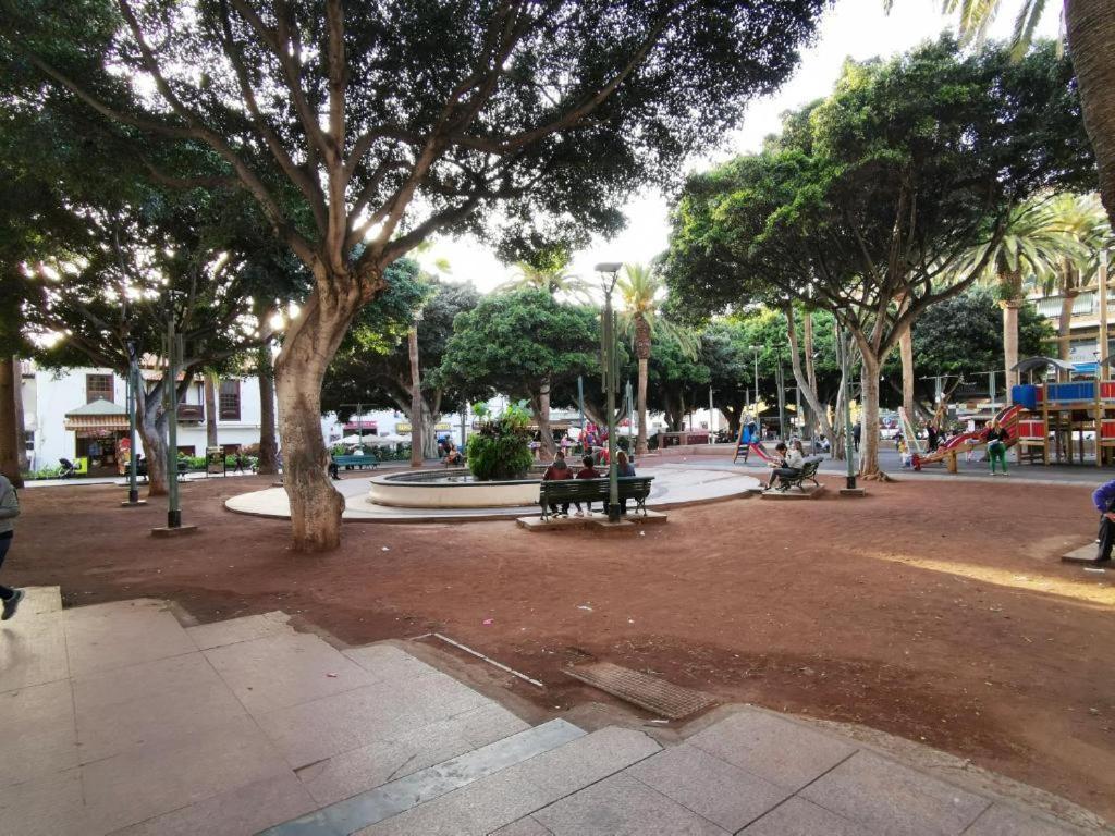 AVC Valle LUZ Puerto de la Cruz  Extérieur photo